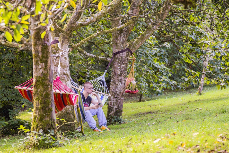 A student sitting at a hammock at Penryn Campus Walled Garden