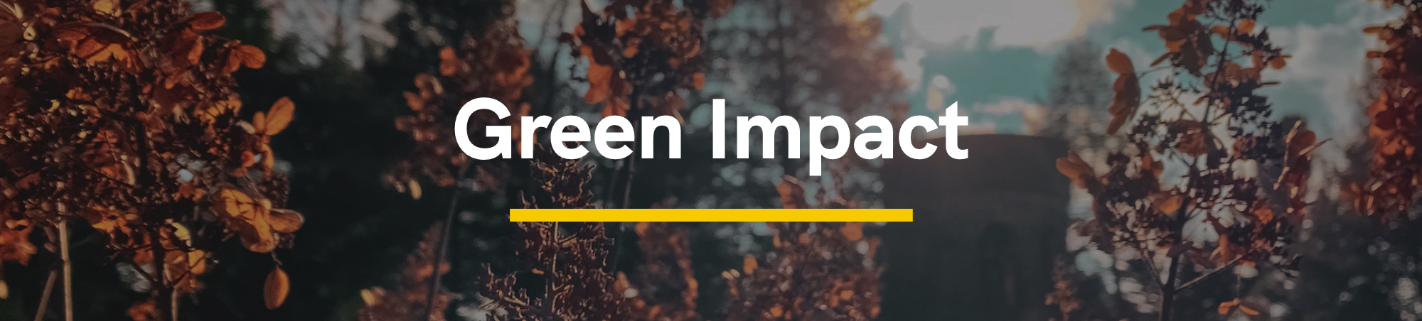 Green Impact