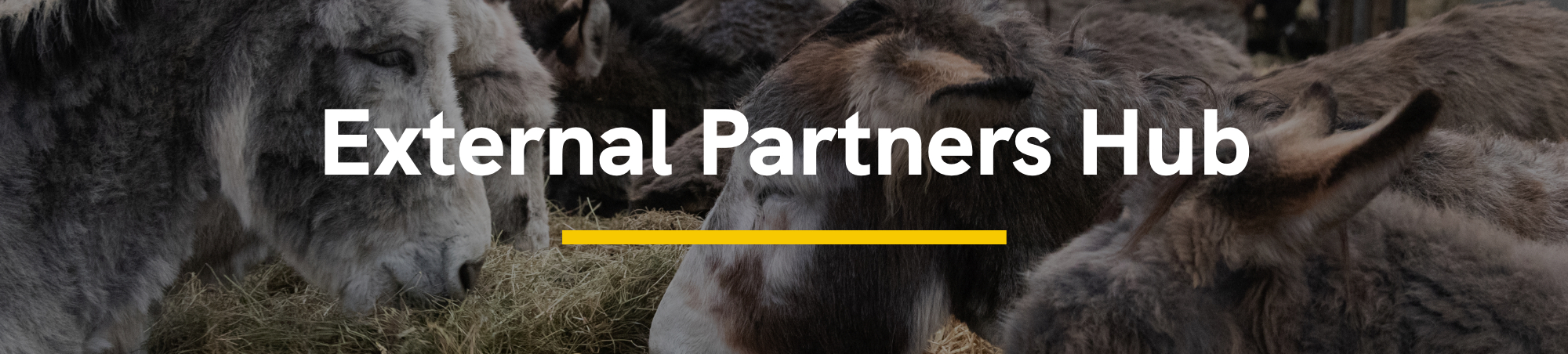 External Partners Hub
