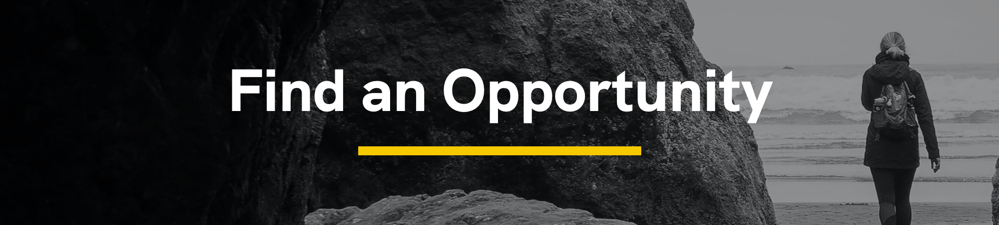 Find an Opportunity