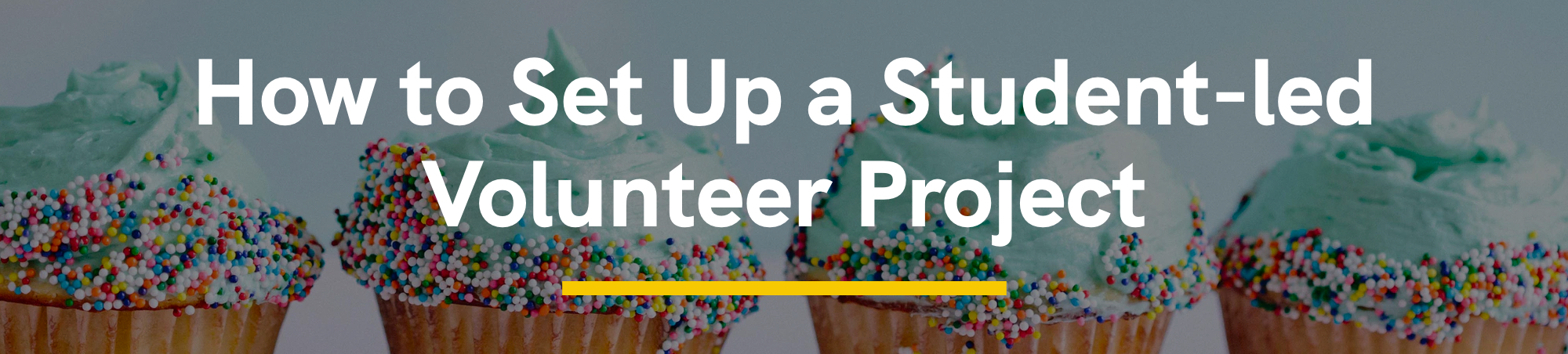 How to Set Up a Student-led Volunteer Project
