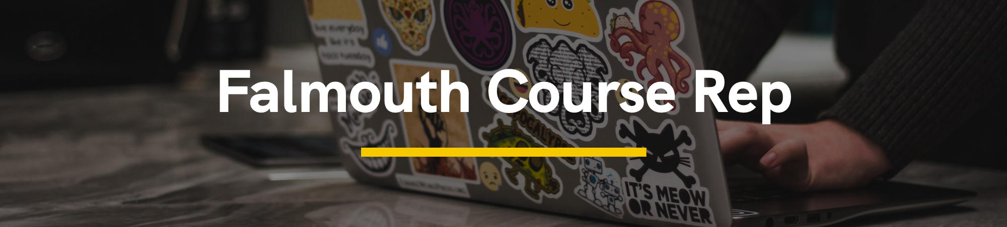 Falmouth Course Rep