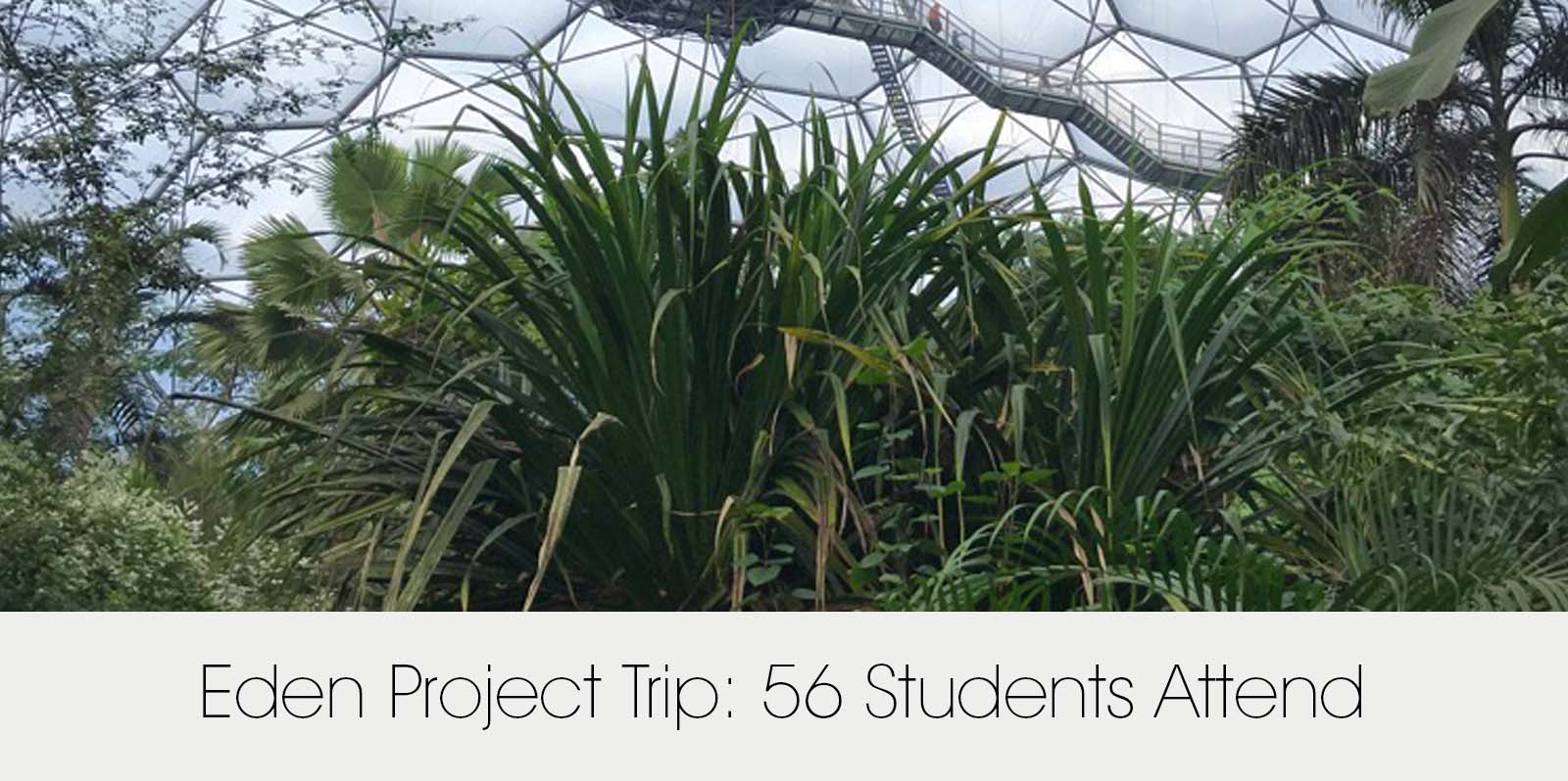 Eden Project Trip