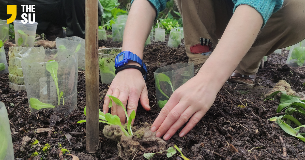Stay in the loop with our sustainability efforts at The SU! From Green Impact to the top priorities of our sabbatical officers.