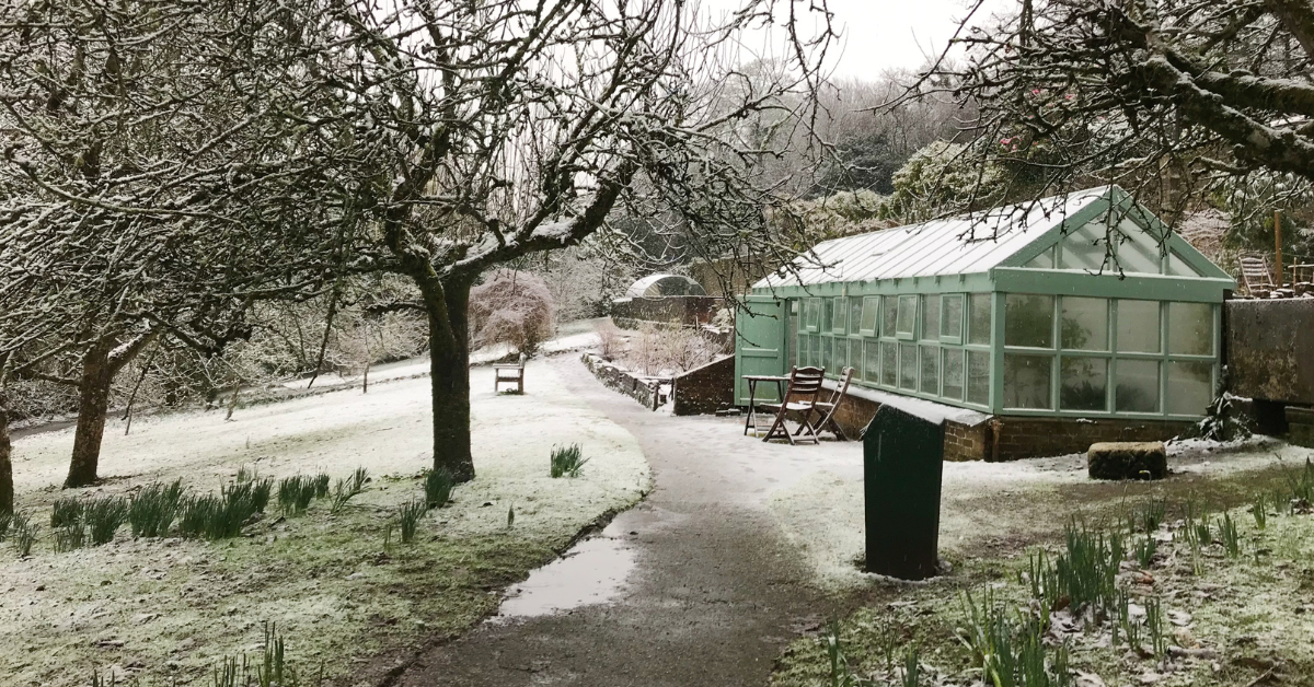 Season's Greetings! As the winter break approaches, you can find all the information you need for SU opening times and emergency service contact details in December and January.