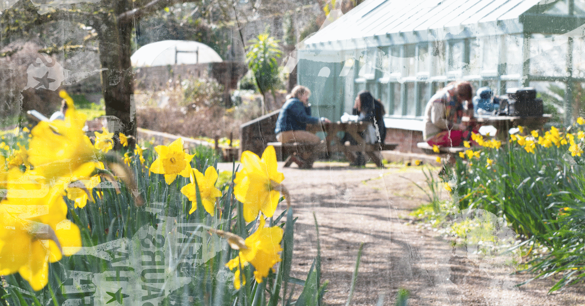 Stay updated on progress on sustainability initiatives at The SU. From Green Impact Students' Unions to sabbatical officer priorities, climate and nature are key interests for Falmouth and Exeter students.