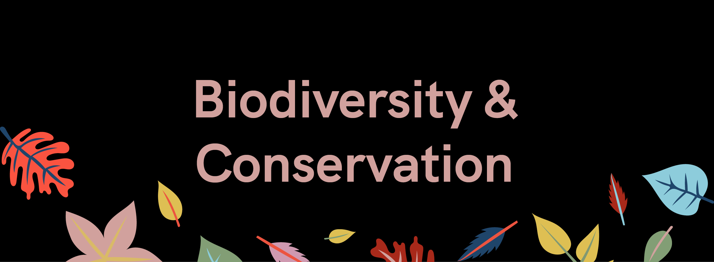 Biodiversity and conservation