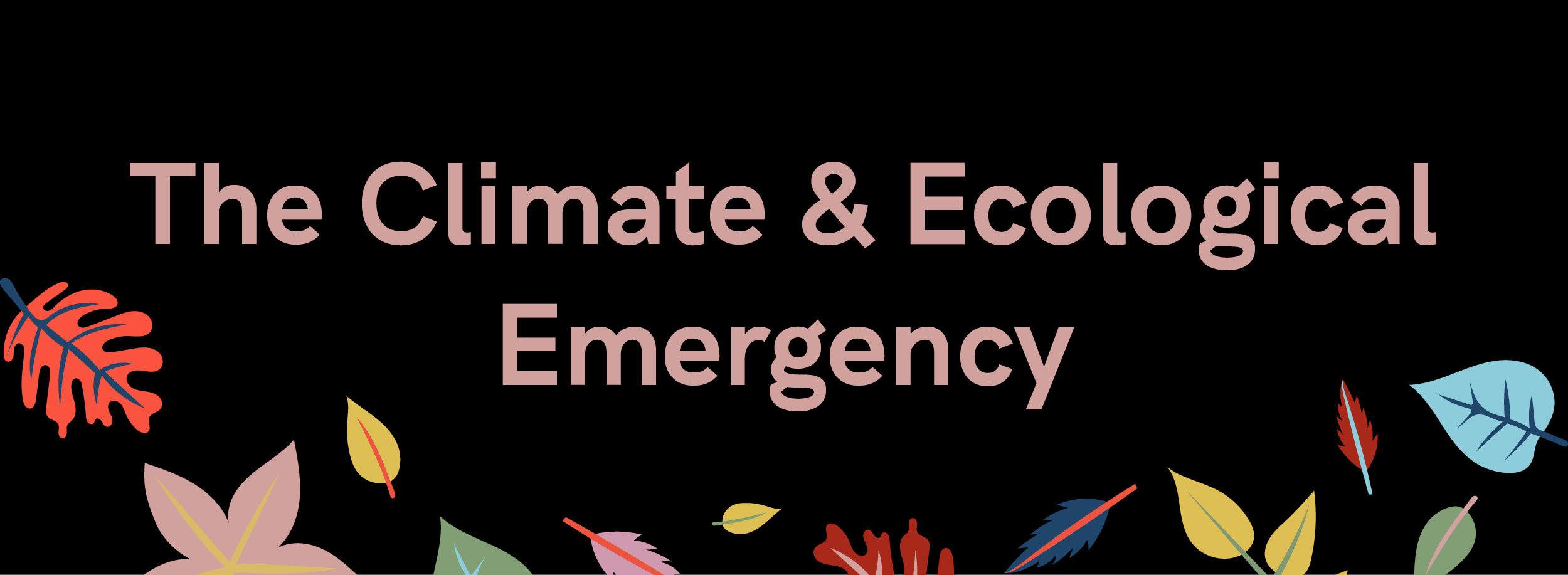 The Climate & Ecological Emergency