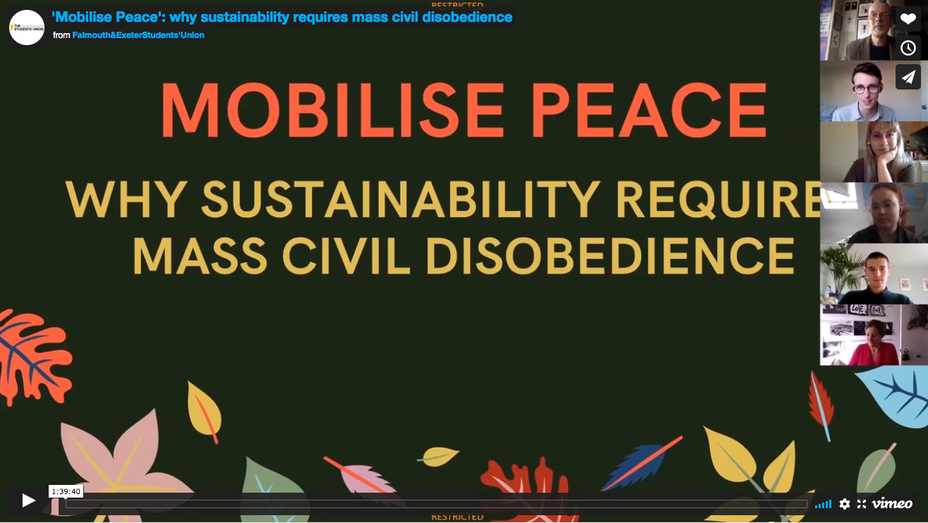Video - 'Mobilise Peace': why sustainability requires mass civil disobedience