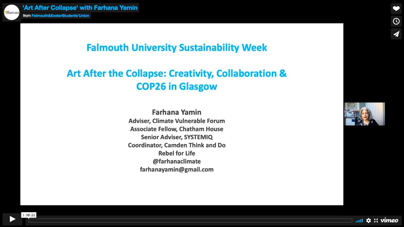 'Art After Collapse' with Farhana Yamin