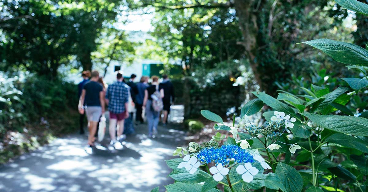 Students walking around on campus